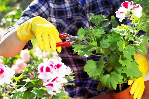 Gardeners Gospel Oak worker applying safe gardening practices at the start of a job