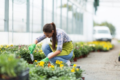 Gardening services in Gospel Oak for a well-kept urban garden