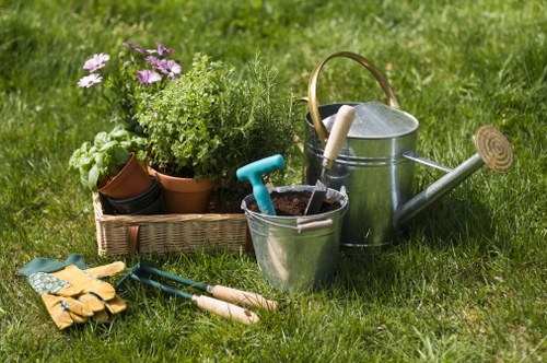Professional lawn care and hedge trimming in Gospel Oak