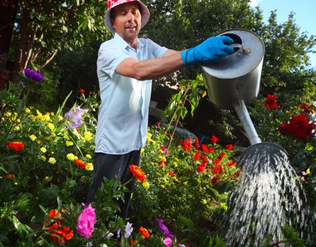 Illustration showing accessibility review for a local gardening service