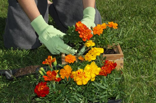 Illustration representing inclusive access to Gardeners Gospel Oak services