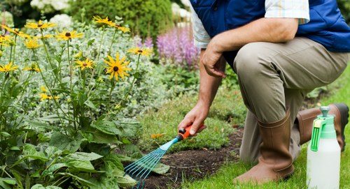 Local garden maintenance and planting in Gospel Oak