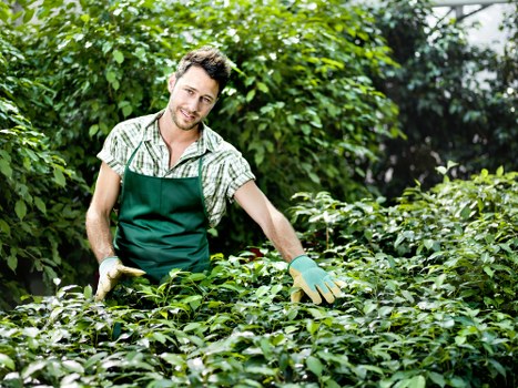 Charity-reuse partnership for garden materials in Gospel Oak