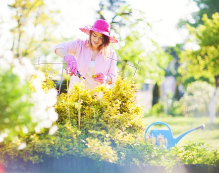 Reviewing health and safety standards for garden maintenance work