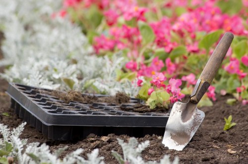 Professional lawn care in Gospel Oak improving patchy turf