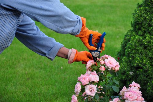 Safe tree removal and stump grinding service in Gospel Oak