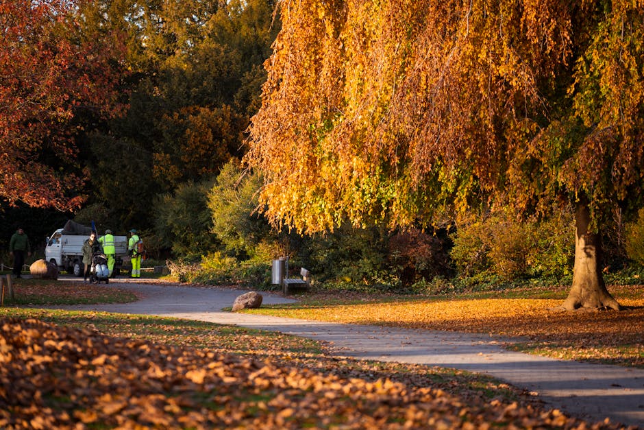 A park scene in autumn with a large deciduous tree displaying vibrant orange and yellow leaves, some fallen on the paved pathway and grassy areas. In the background, a group of workers in high-visibil